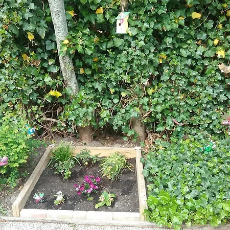 別荘 Near With Pool ペッテン