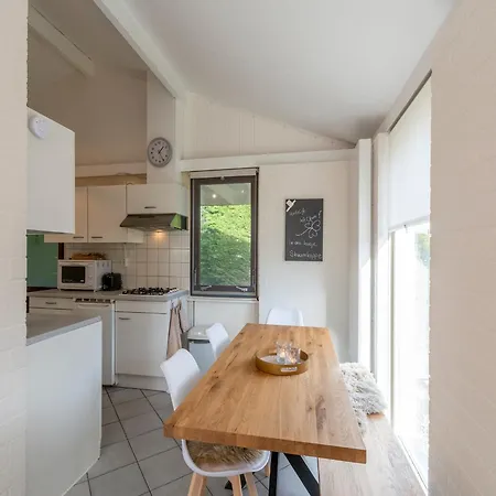 Near With Pool Ferienhaus Petten