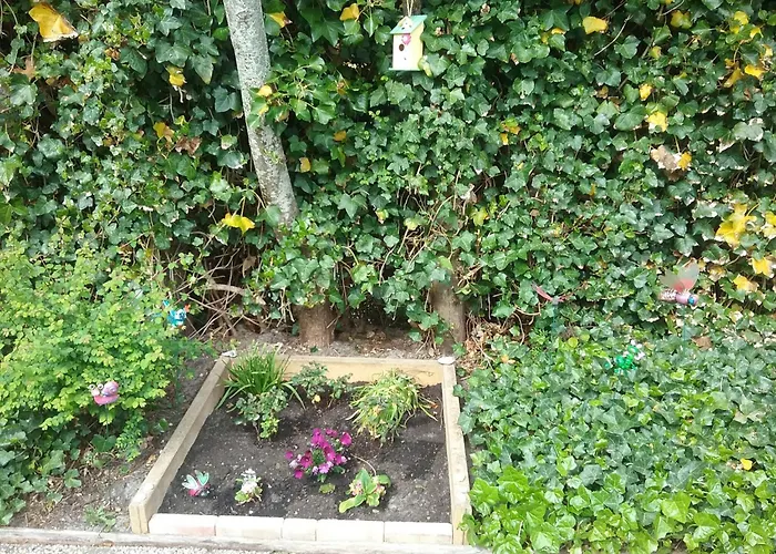 Near With Pool Petten