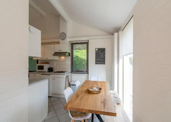 Near With Pool Ferienhaus Petten