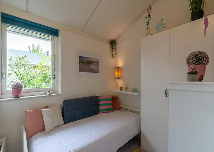 Near With Pool Ferienhaus Petten